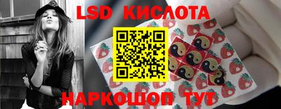 spice Кинель
