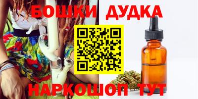 spice Кинель