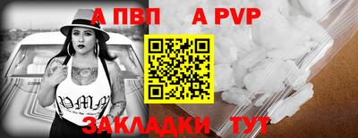 мет Кингисепп