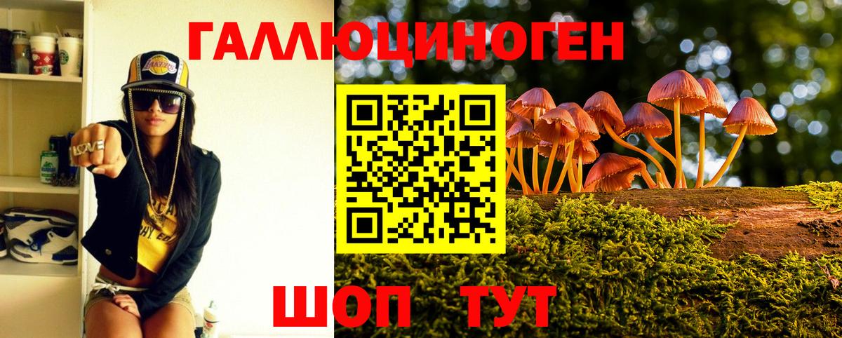 Галлюциногенные грибы GOLDEN TEACHER Кохма