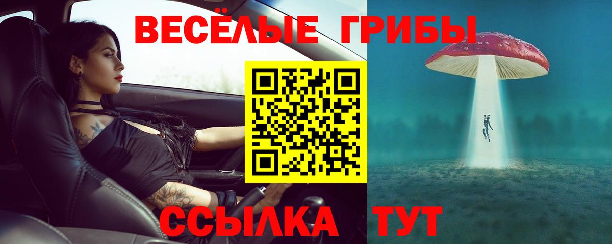 Кохма  Галлюциногенные грибы Psilocybe  Вход с VPN 